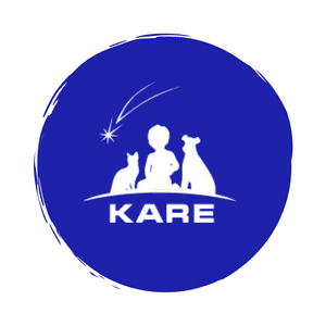 общественный фонд KARE-Забота