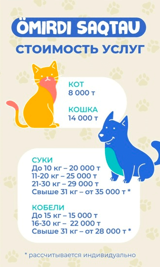 стоимость услуг мобильной клиники Vetmobile